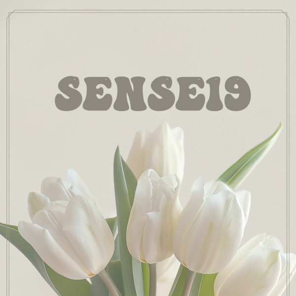 SM지브라  7종세트 블랙